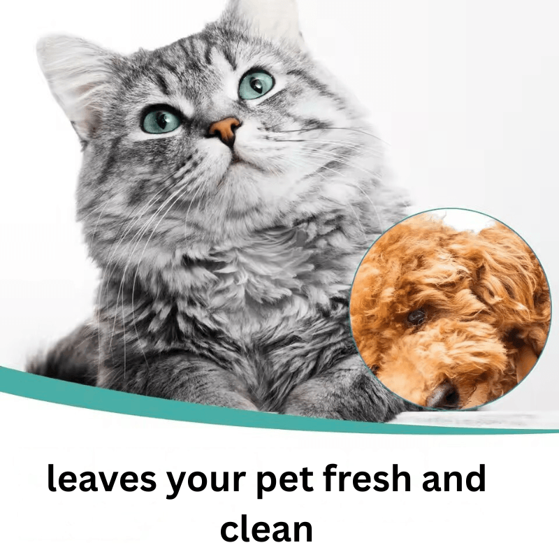 happy pawss™ Wash Free Essence